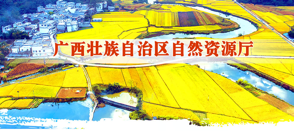 广西国土资源厅.fw_r1_c2